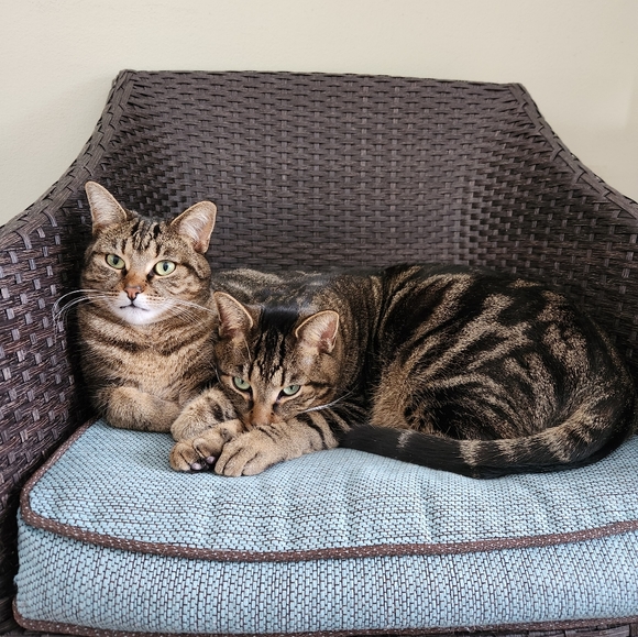 Profile Picture of Janet Lynn (@jstone1966) on Poshmark