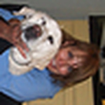 Profile Picture of Korisfamily (@korisfamily) on Flickr