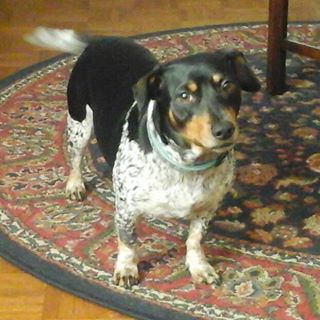 Profile Picture of Eddie Shupe (@Eddie-Shupe) on Facebook