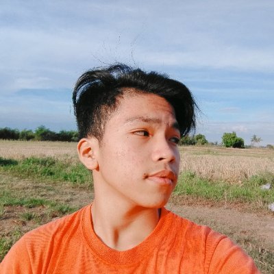 Profile Picture of Mhelvin Karl Alcantara Fernandez (@karl_mhelvin) on Twitter