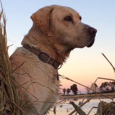 Profile Picture of Sawyer Smith (@JonSawyer91) on Twitter