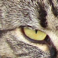 Profile Picture of Daniel Ladegaard Kristensen (@daniel.kristensen.5283) on Facebook