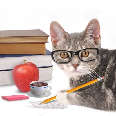 Profile Picture of Lori Oh ❄️ (@7506Lori) on Twitter