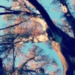 Profile Picture of Aaron Goold (@a_a_rongoold04) on Instagram