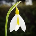 Profile Picture of Jon (@jack_au111) on Instagram