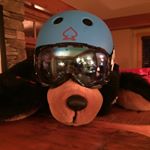 Profile Picture of Kevin Gawne (@kevin.gawne) on Instagram