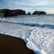 Profile Picture of Ryan Berilla (@wariodude1) on Youtube