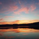 Profile Picture of Cory Molloy (@c._spamm_.8) on Instagram