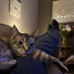 Profile Picture of Brad McLean (@Brad-McLean) on Facebook