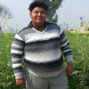 Profile Picture of guri... singh (@@guri....singh786) on Tiktok