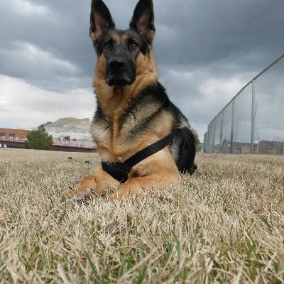 Profile Picture of Richard Osborn (@potus_supporter) on Twitter