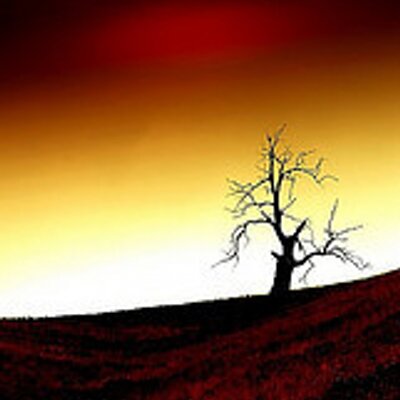 Profile Picture of Daksha Bhatt (@DakshaBhatt1) on Twitter