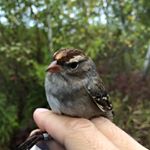 Profile Picture of Dawn Lam (@dawn_l_71) on Instagram