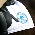 Profile Picture of Alison Marks (@amvetphysio) on Instagram