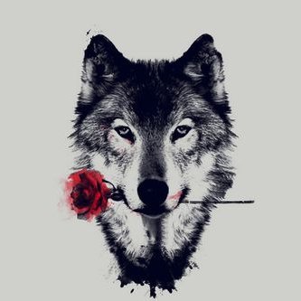 Profile Picture of Kyle (@KyleVelez7) on Twitter