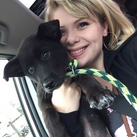 Profile Picture of Lauren Buckley (@laurenbuckley) on Pinterest