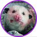 Profile Picture of Gail Duncan (@gail.duncan.31) on Facebook