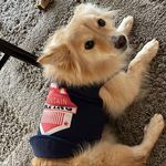 Profile Picture of Kenzo/Sephora/Bruno/Bianca/Casper ♥️ (@kenzoseph) on Instagram