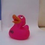 Profile Picture of Brownie Duck (@brownie.duck) on Facebook