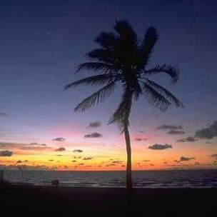 Profile Picture of Syed Yaser (@syed.yaser.731) on Facebook