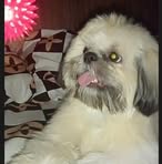 Profile Picture of Briana Alexa (@briana.alexa.336131) on Facebook