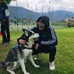 Profile Picture of Dennis Schaller (@dennischaller) on Instagram