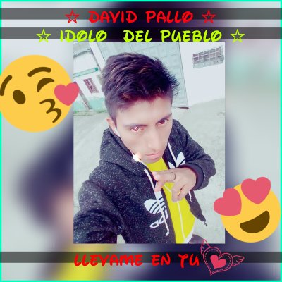 Profile Picture of David Pallo (@DavidPallo3) on Twitter