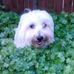 Profile Picture of Douglas Bacon (@douglas.bacon.92) on Facebook