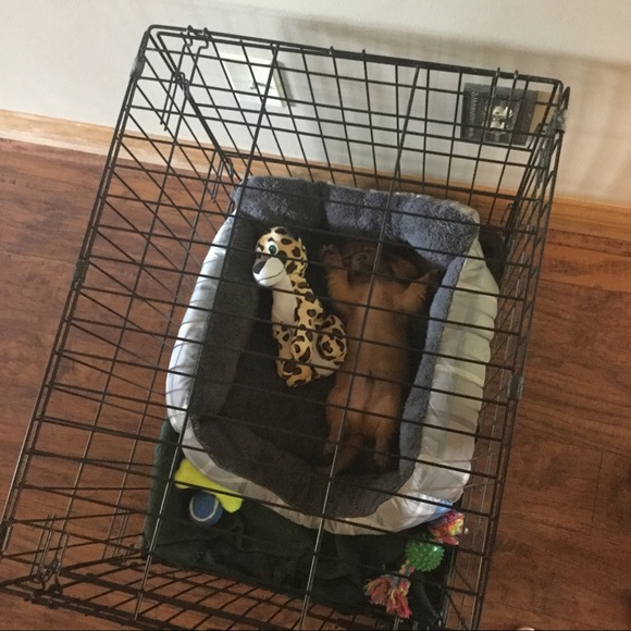 Profile Picture of Andrew Pettit (@andrew373) on Poshmark