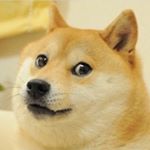 Profile Picture of Jonathan Wylie (@thetruejmemer) on Instagram