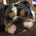 Profile Picture of Darby Reublin Roberts (@darby.r.roberts) on Facebook