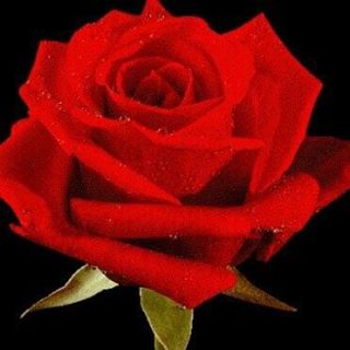 Profile Picture of Kristy Mitchell Whited (@kristy.whited) on Facebook