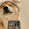 Profile Picture of Jerry (@@user219453284) on Tiktok