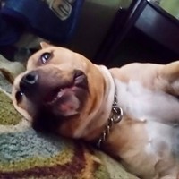 Profile Picture of Alex Rubio (@alex-rubio-19) on Quora