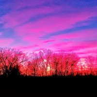 Profile Picture of David Ahlgren (@david-ahlgren) on Quora