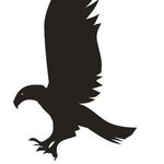 Profile Picture of Robert Blomstrom (@robertblomstrom) on Instagram