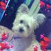 Profile Picture of Rosalyn Moore (@rosalyn.moore.7186) on Facebook