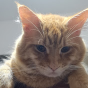 Profile Picture of John Cueto (@batman1086) on Youtube