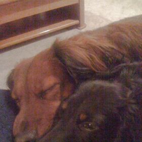 Profile Picture of Heidi Scott (@heidi65) on Pinterest