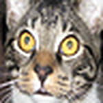 Profile Picture of Zen1121 (@Zen1121) on Flickr