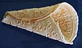 Profile Picture of Krumkakeon Wikipedia