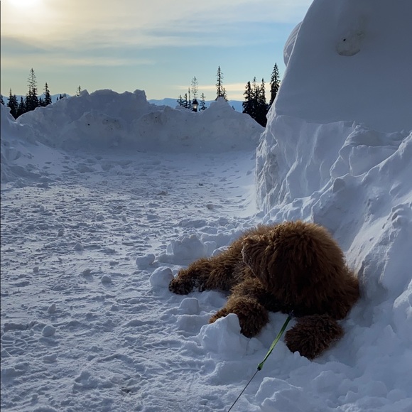 Profile Picture of Madison Merner (@maddymerner) on Poshmark