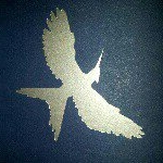 Profile Picture of Eryn Hall (@halle_pix) on Instagram