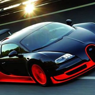 Profile Picture of Marian Andreescu (@Marian-Andreescu) on Facebook