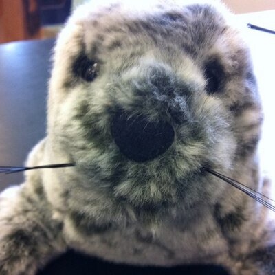 Profile Picture of Douglas Seal (@DouglasTheSeal) on Twitter