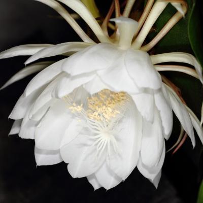 Profile Picture of 槙村　瞭 (Ryo Makimura) (@ryo_makimura) on Twitter