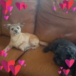 Profile Picture of Barbara Rowlett (@barbara.dawkins.5) on Instagram