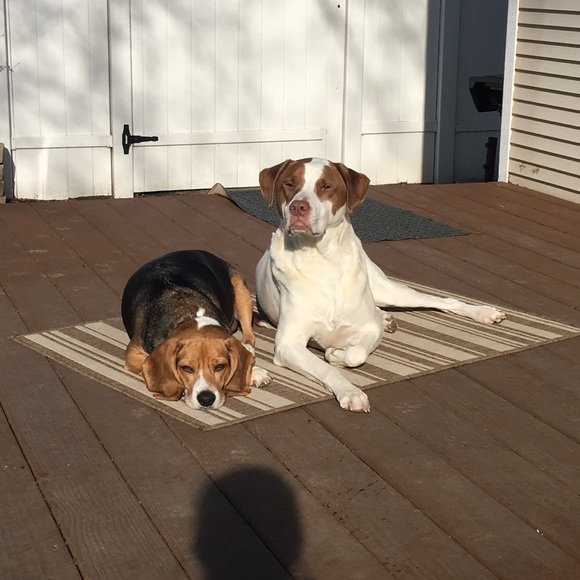 Tracy Blackham - Poshmark Profile Picture of Tracy Blackham (@tblackham) on Poshmark