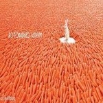 Profile Picture of Bryanna Ballenger (@bryannaballenger) on Instagram