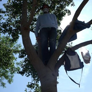 Profile Picture of Adrian Brenes (@adrian.brenes.33) on Facebook